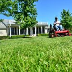 lawn care, lawn maintenance, lawn services