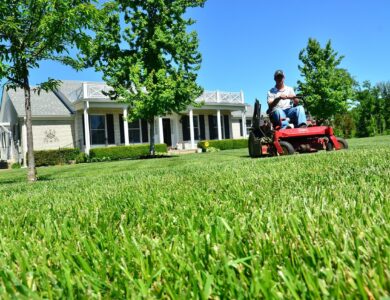 lawn care, lawn maintenance, lawn services