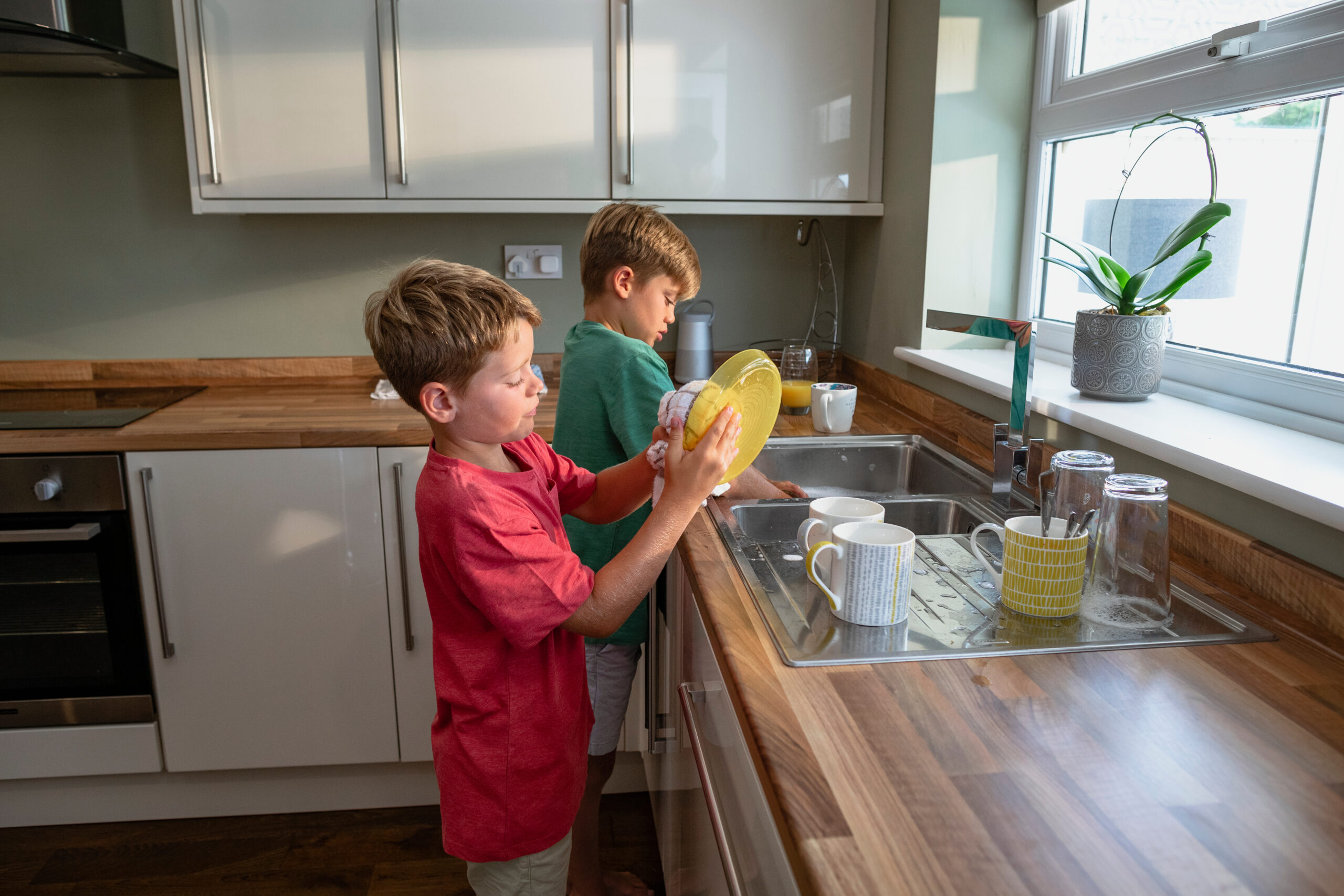 Brothers Doing Chores