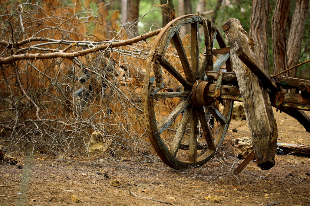 Brown carriage wheel