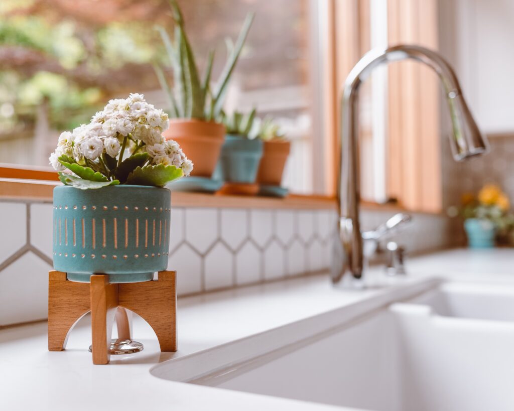 Ceramic Planter on Kitchen Counter with Sink and Window Background