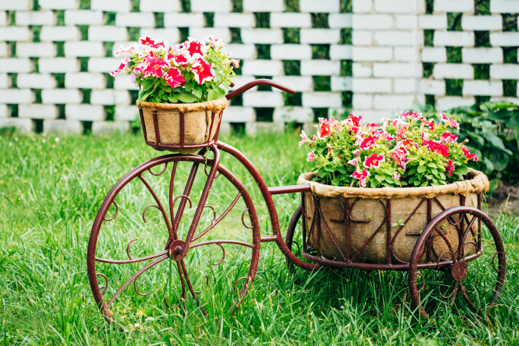 Decorative Vintage Model Old Bicycle Equipped Basket Flowers Gar