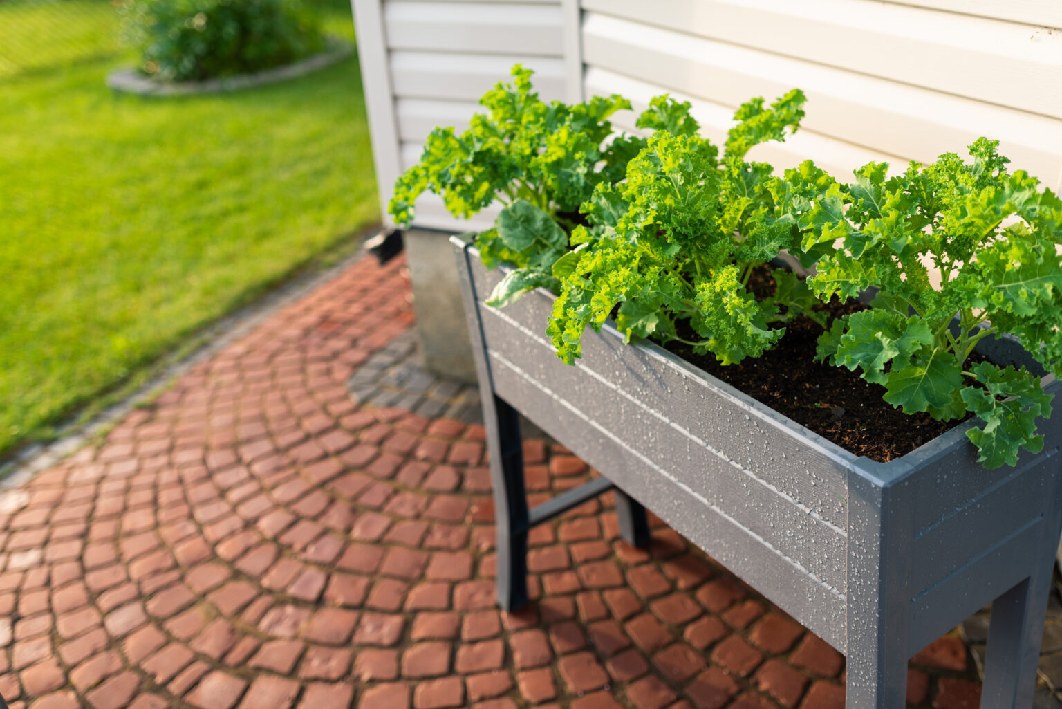 Dirt Cheap Gardens DIY Raised Beds That Keep Your Wallet Green DIYReveal