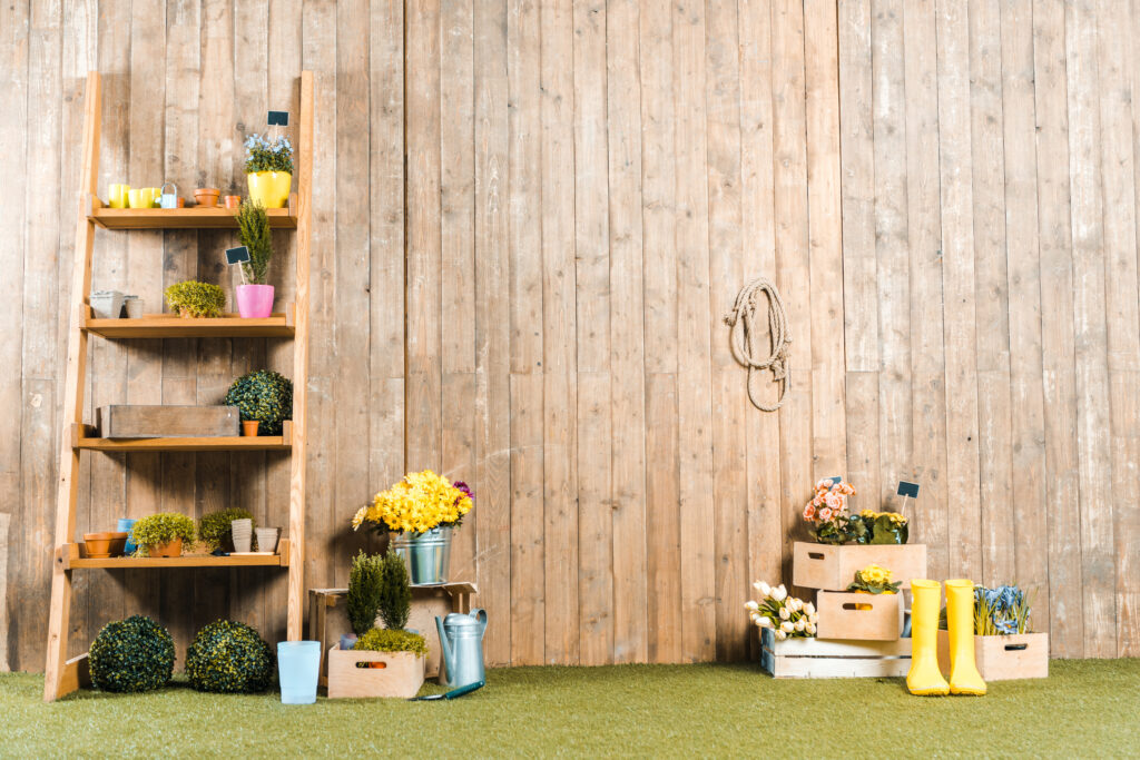 rack with pots and plants near wooden fence