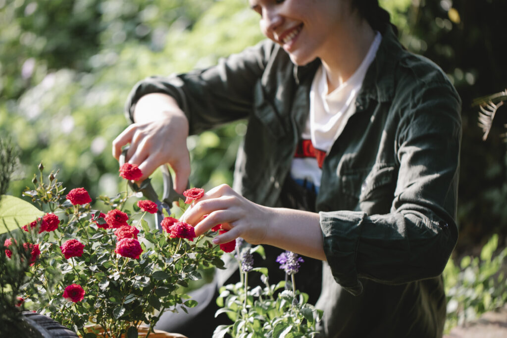 Smiling woman shaping blooming roses in garden