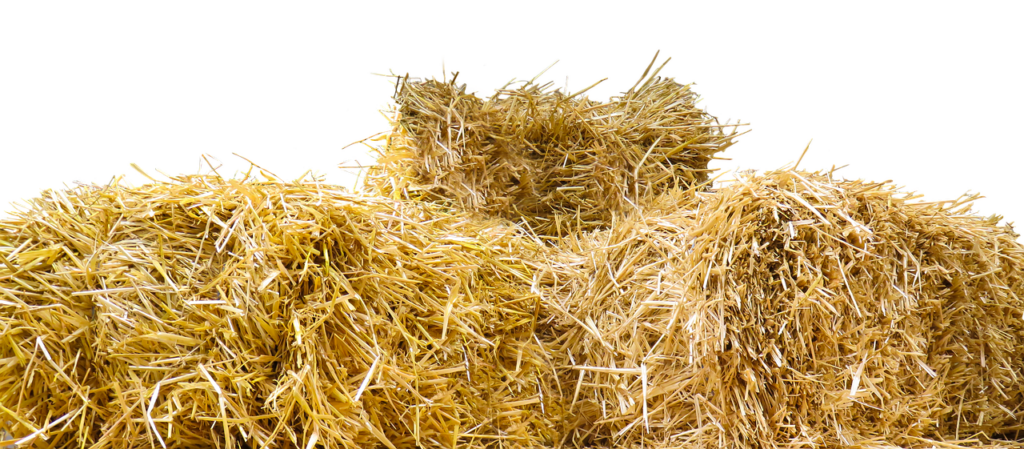 straw, straw bales, isolated