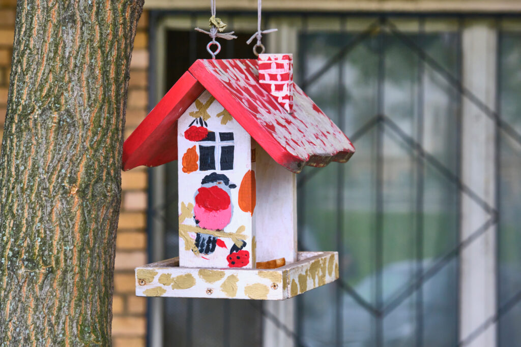 Bird feeder hangs on tree branch. general plan. color