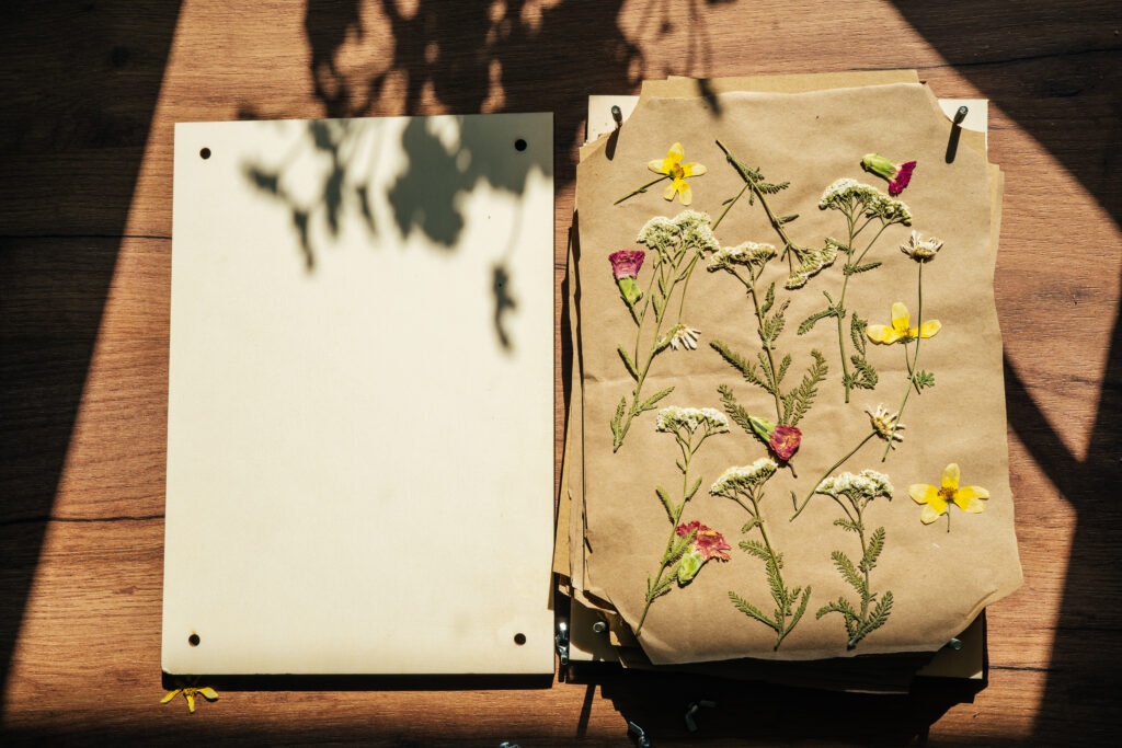 Dry pressed plants and flowers on a wooden table. DIY, hobby