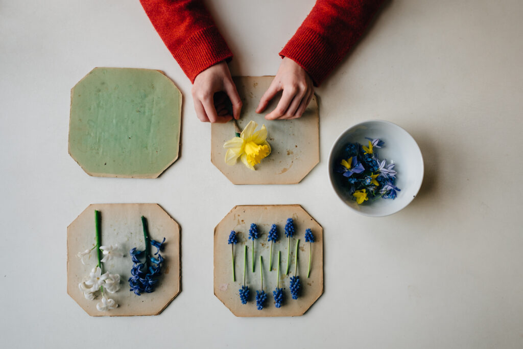 Overhead image of flower pressing