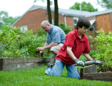 Though a very positive activity, gardening exposes the gardener to a number of possible bodily injuries, therefore, using personal protective equipment (PPE) is always recommended, including knee pads, gloves that would guard against exposure to pesticides, abrasions, and insect bites, and jeans that would protect one against the harmful effects of the sun’s rays, insect bites, and abrasions. It’s recommended that sunscreen be applied to skin exposed to the sun. A hat and goggles might also be recommended. Don’t forget to properly wash your hands after working in the dirt.