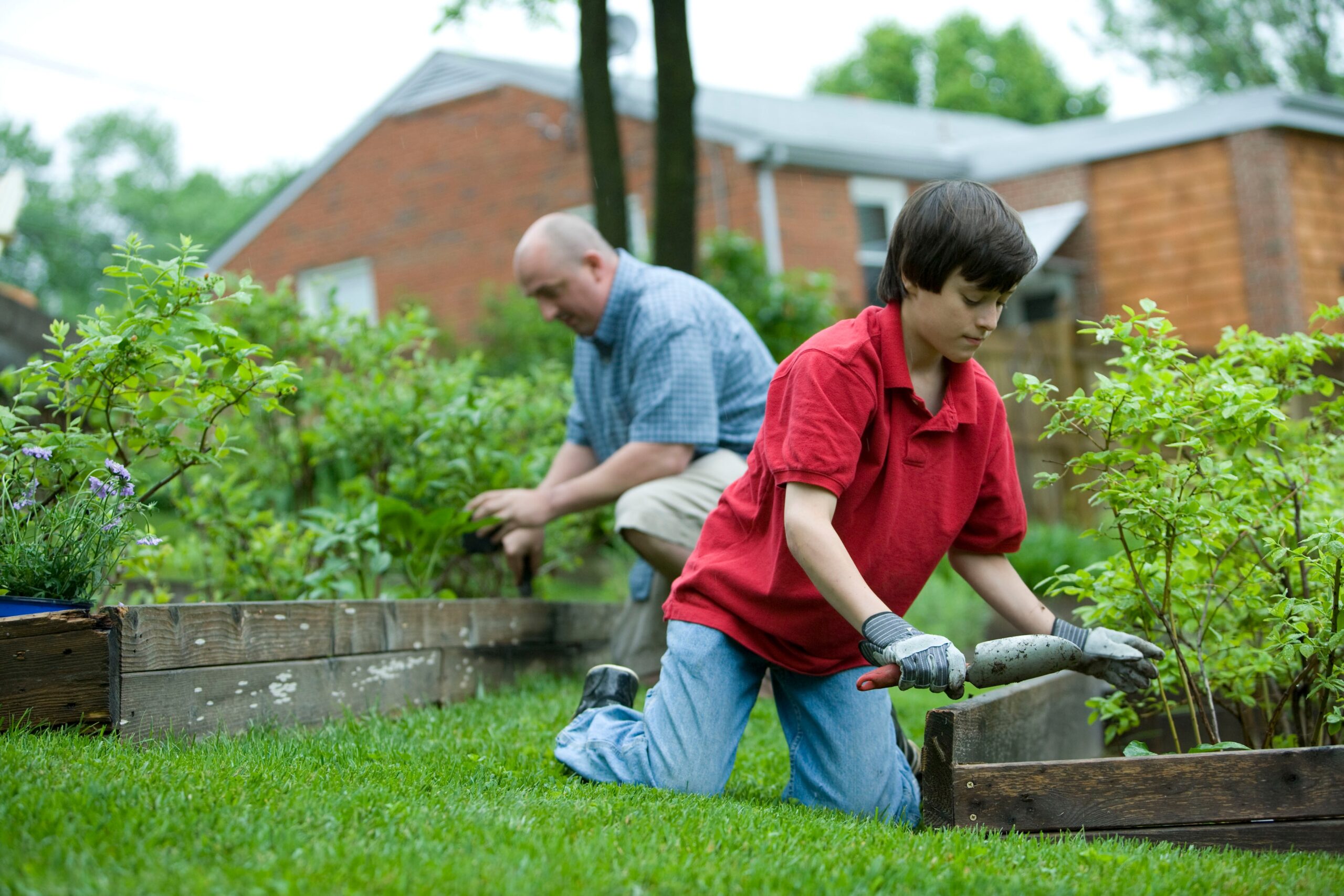 Though a very positive activity, gardening exposes the gardener to a number of possible bodily injuries, therefore, using personal protective equipment (PPE) is always recommended, including knee pads, gloves that would guard against exposure to pesticides, abrasions, and insect bites, and jeans that would protect one against the harmful effects of the sun’s rays, insect bites, and abrasions. It’s recommended that sunscreen be applied to skin exposed to the sun. A hat and goggles might also be recommended. Don’t forget to properly wash your hands after working in the dirt.