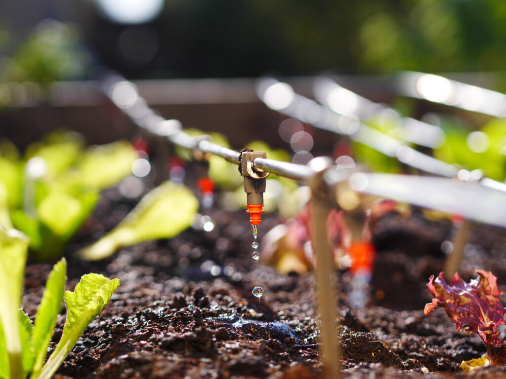 irrigation system in raised garden bed