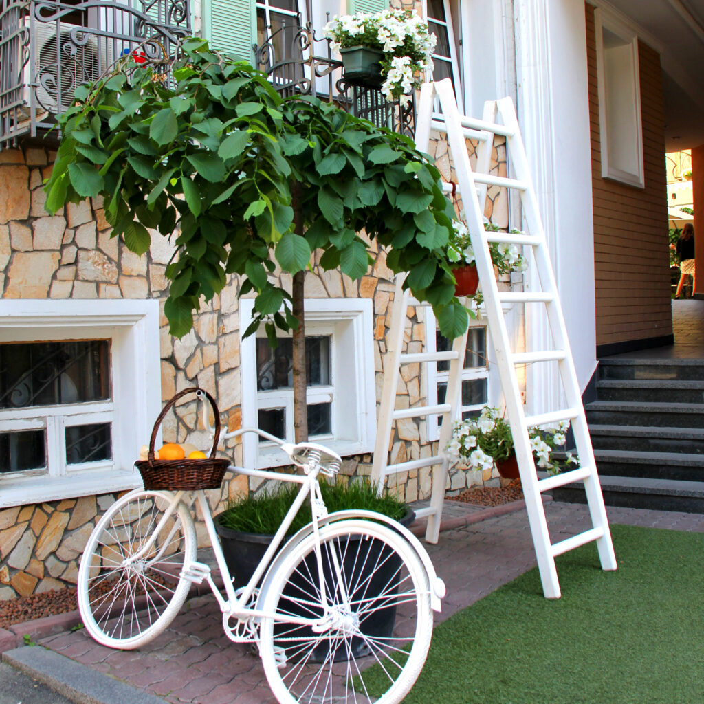 White step through bicycle leaning beside tree plant