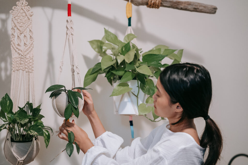 Woman holding hanging plant