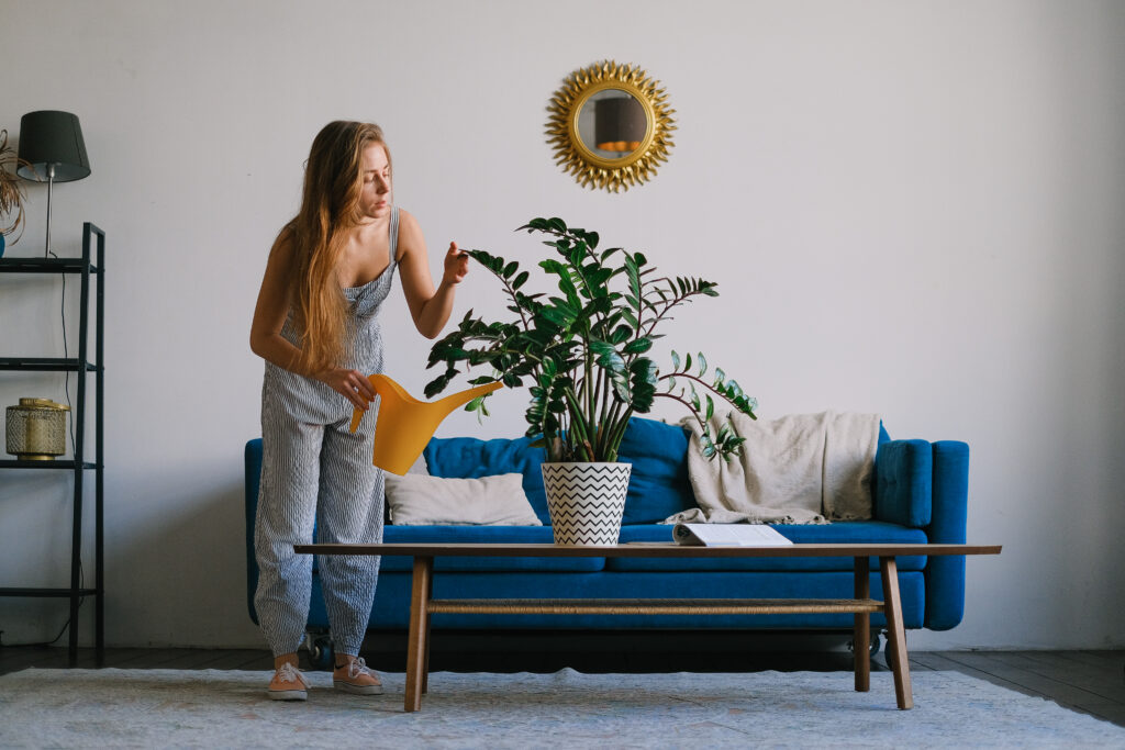 Female watering plant on table in living room