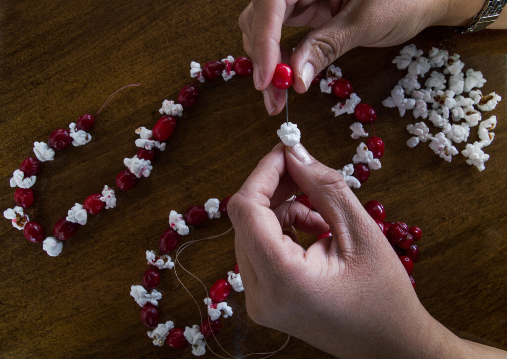 Woman's hands threading a fresh cranberry and popcorn to make a Christmas garland. Popcorn, cranberries and completed garland are on a wooden tabletop. Photographed in natural light.