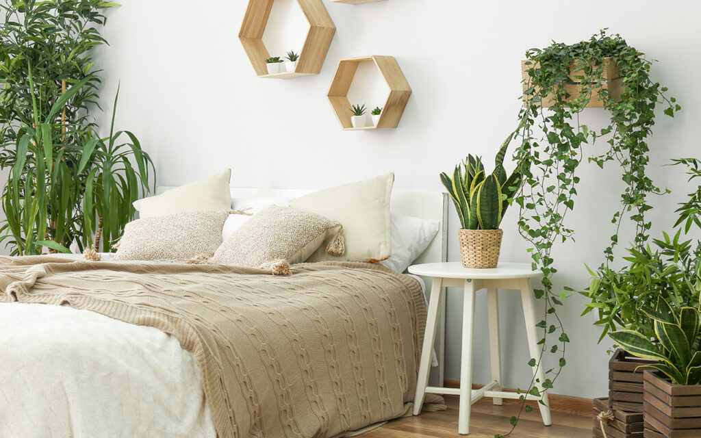 Stylish interior of bedroom with green houseplants
