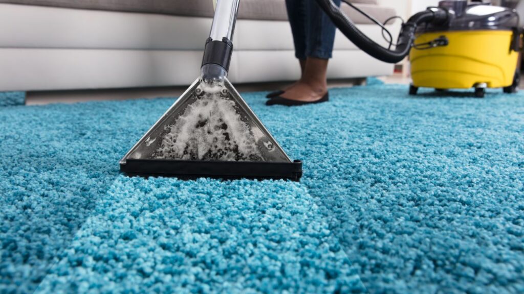 a person using a vacuum cleaner to clean a blue carpet