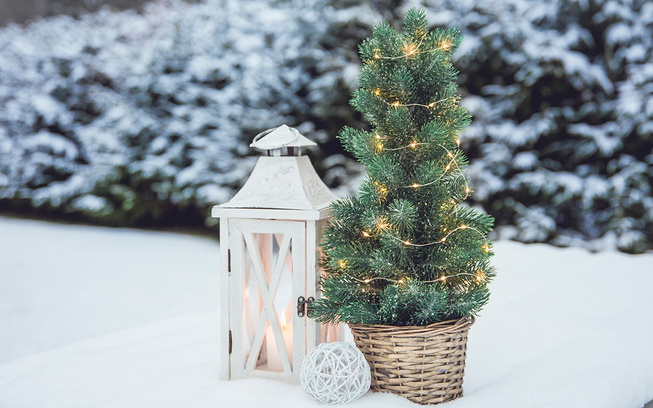 Miniature Christmas tree