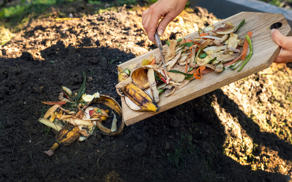 Adding compost to soil