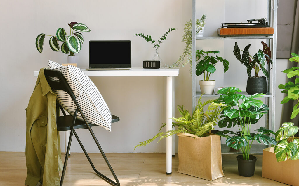 Home office with indoor plants