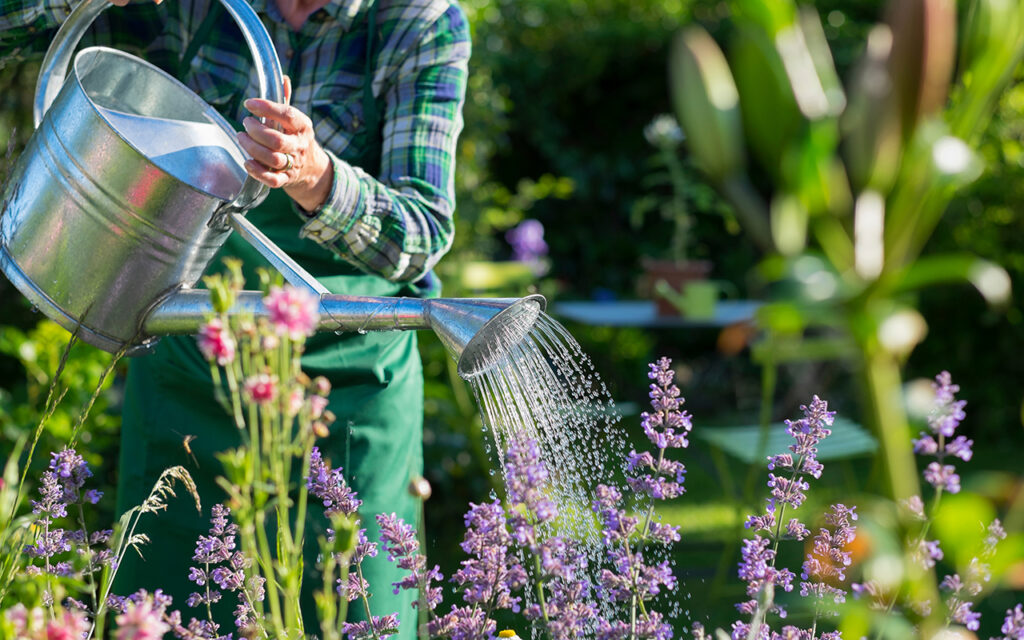 Watering garden