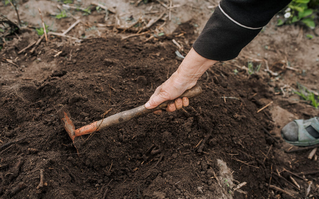 Using garden tools to break up soil