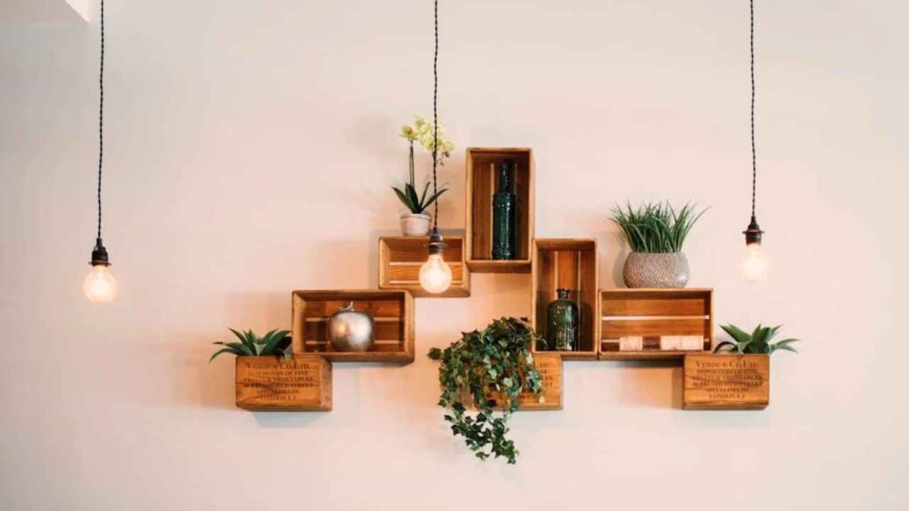 wooden shelves with potted plants hanging from them