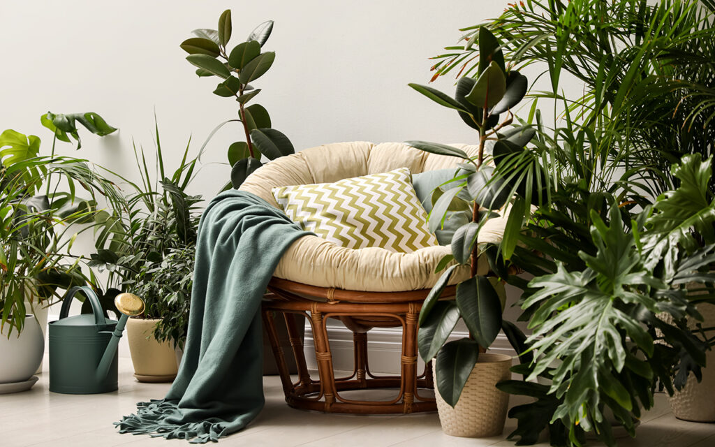 Plants surrounding a chair