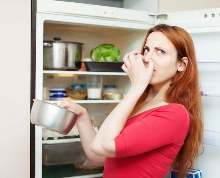 Stinky refrigerator 