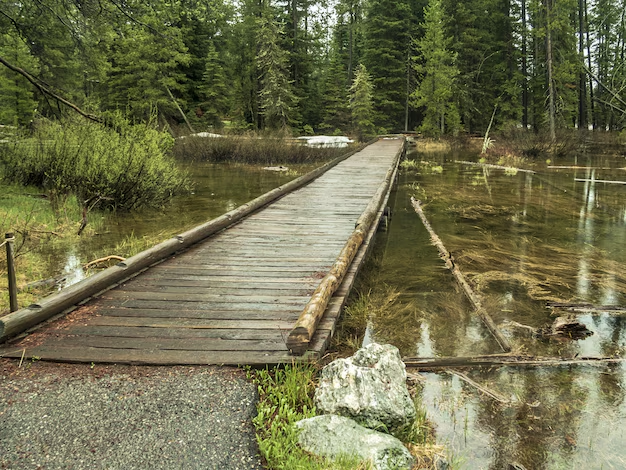 Water-Layered Paths
