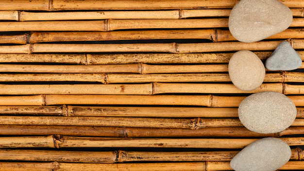 Bamboo Pathways