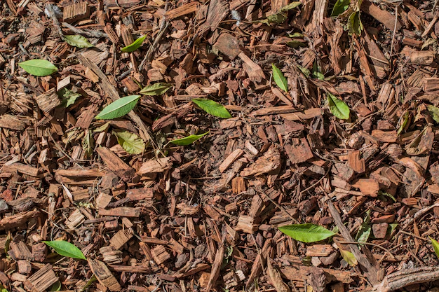 Rubber Mulch Paths
