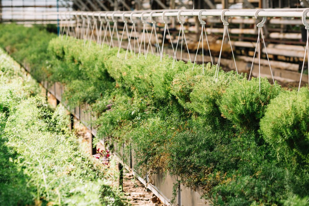 Vertical Herb Garden