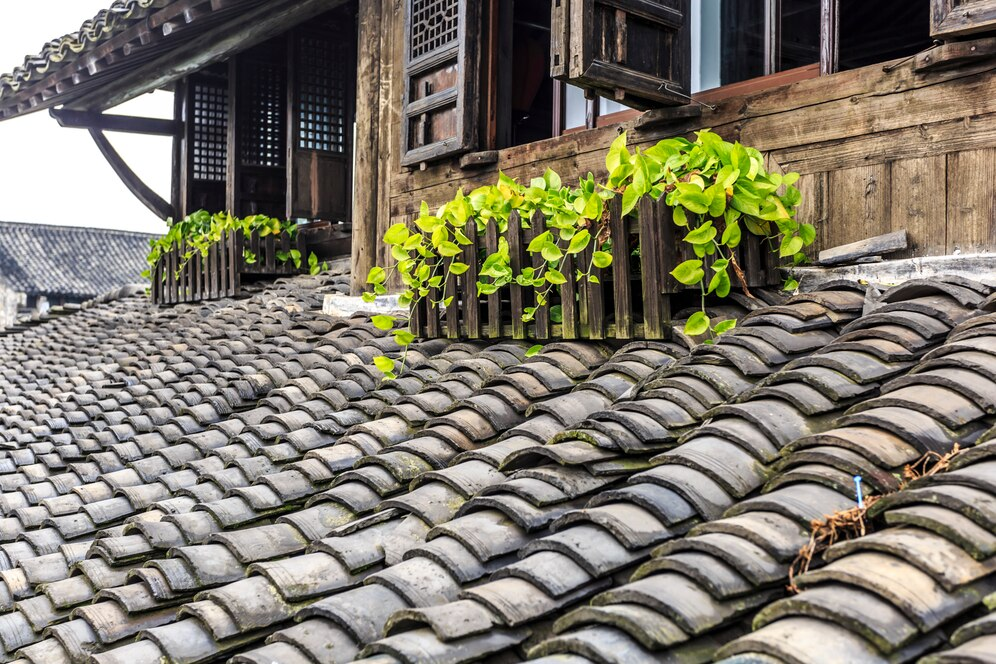 Roof of a house