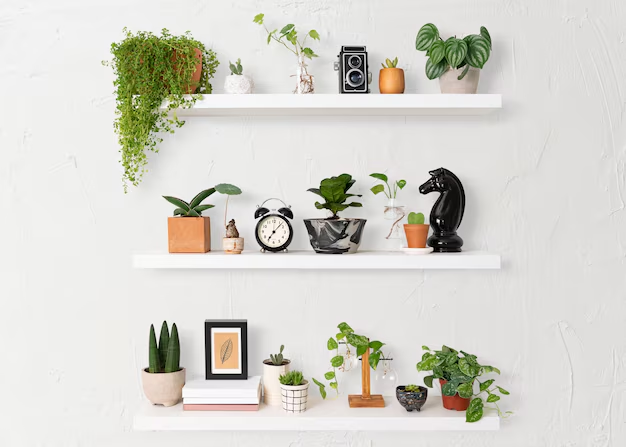 Floating Shelves
