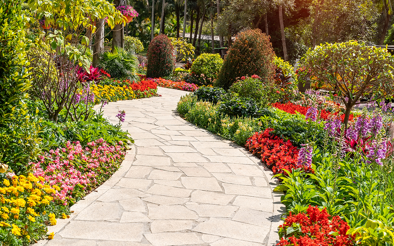 Garden path