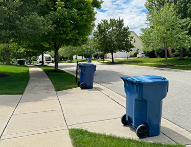 Trash bins on the curb