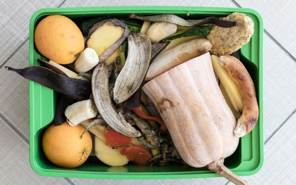 Compost bin