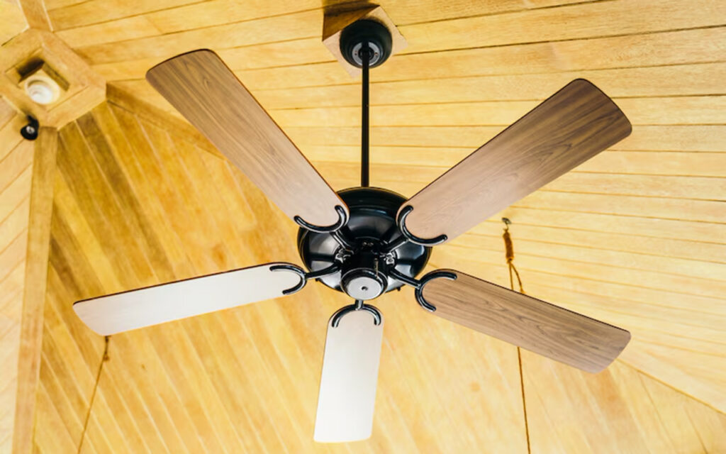 Ceiling fan