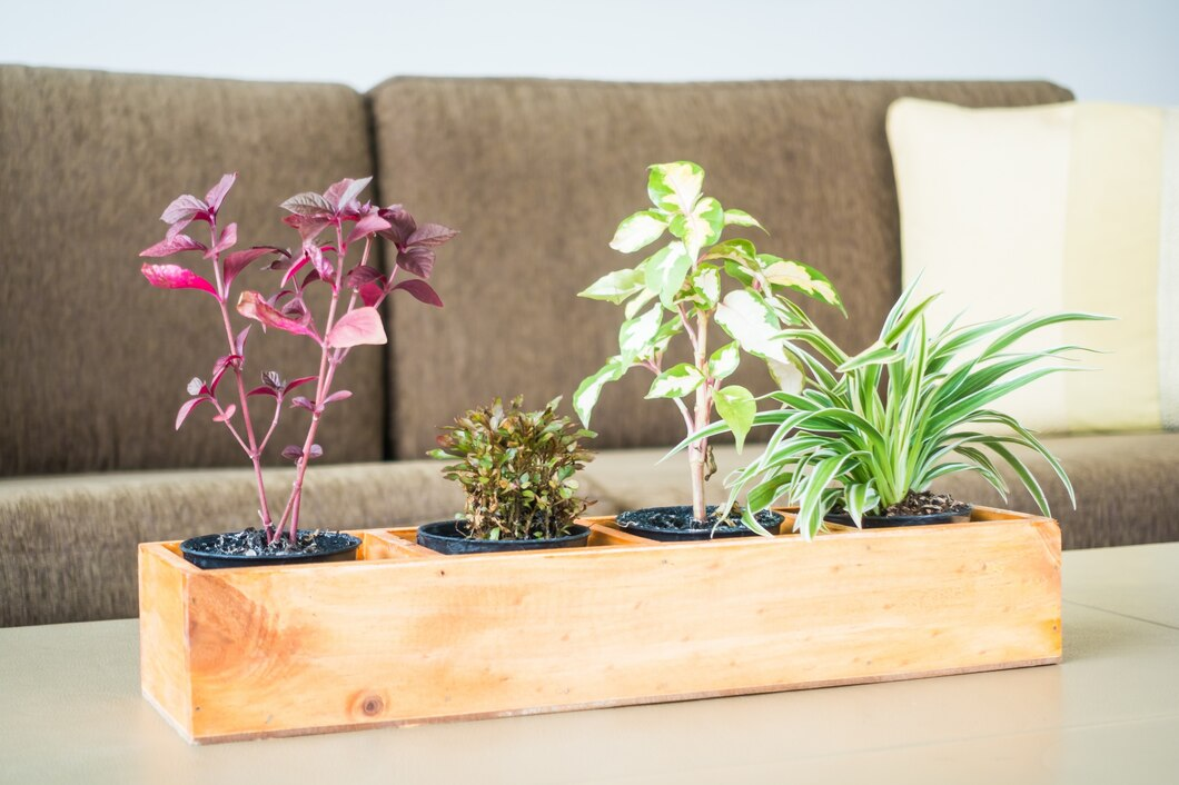 Mini Wooden Planter Boxes